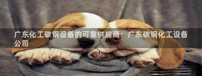 门徒平台登录注册账号