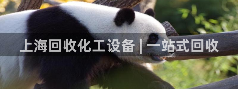 门徒娱乐是不是跑路了：上海回收化工设备 | 一站式