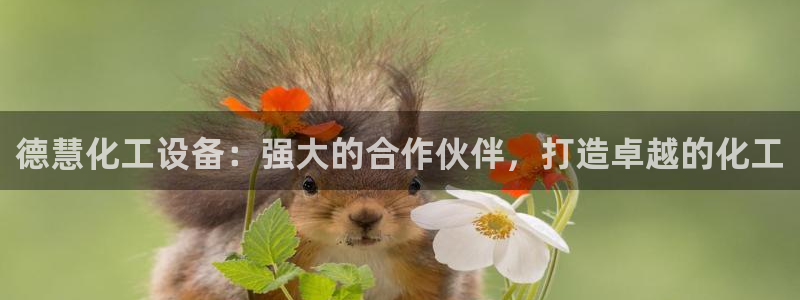 门徒娱乐联3.7.9.9.7 天乐