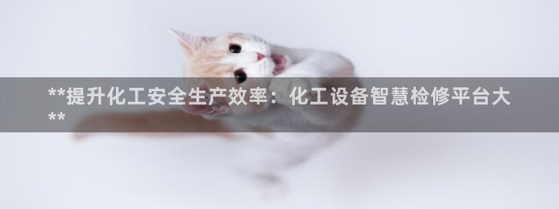 门徒娱乐创始人简介是谁