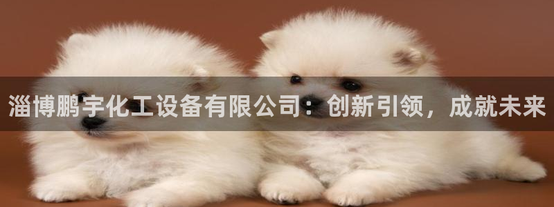 门徒平台入.门徒平台.怎么样.长久.中国：淄博鹏宇