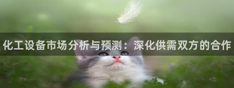 门徒平台指定入口：化工设备市场分析与预测：深化供需