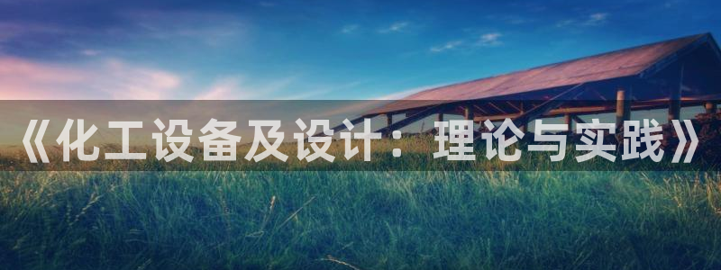 门徒娱乐有人被黑吗：《化工设备及设计：理论与实践》