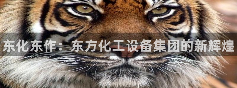 门徒平台服务站