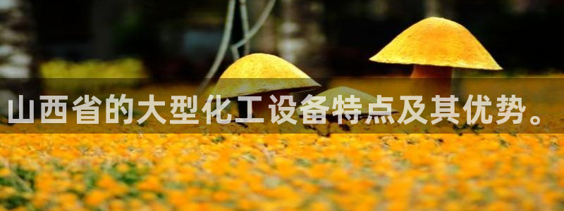 门徒平台商 5O6917 平台：山西省的大型化工设